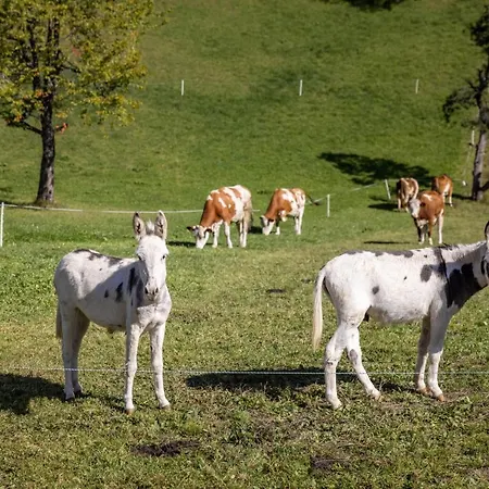 Connys Naturberghuetten Großkirchheim